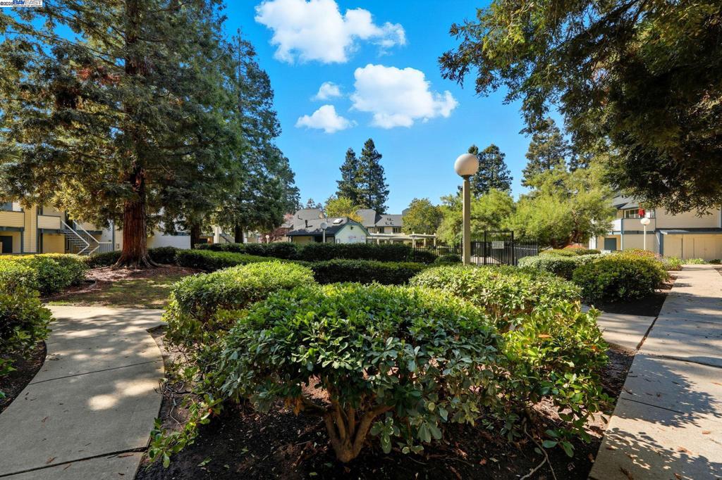 WARM SPRINGS - Residential