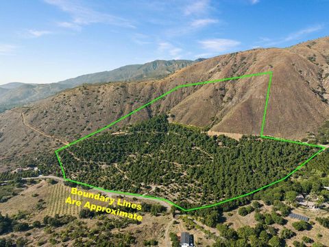 Photo of 15063 Adams Drive, Pauma Valley, CA 92061 (MLS # NDP2501095) Photo of 15063 Adams Drive, Pauma Valley, CA 92061 (MLS # NDP2501095)