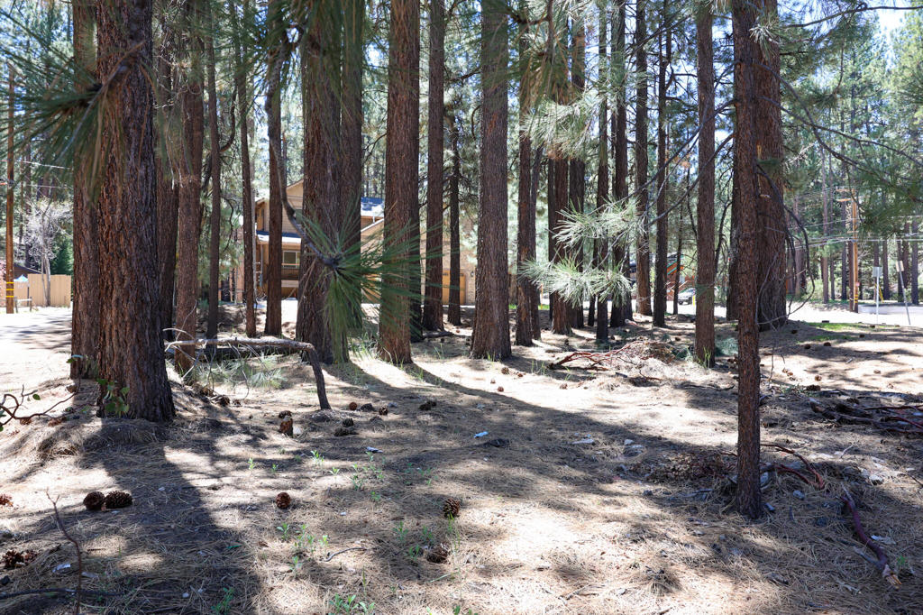 Not Applicable-1 - Land