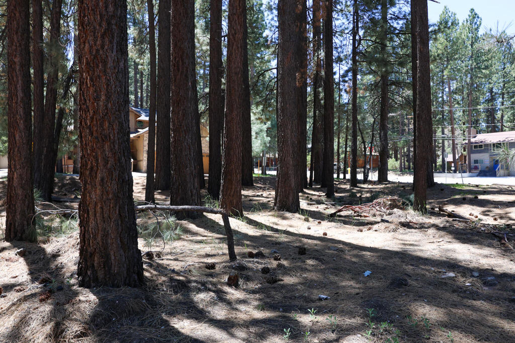 Not Applicable-1 - Land