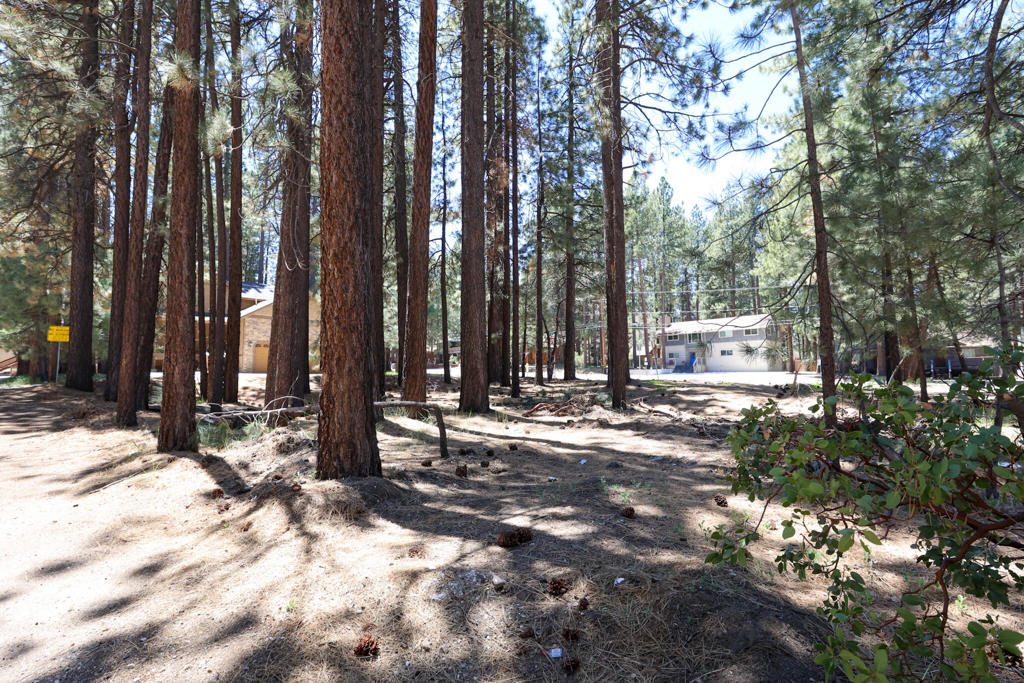 Not Applicable-1 - Land