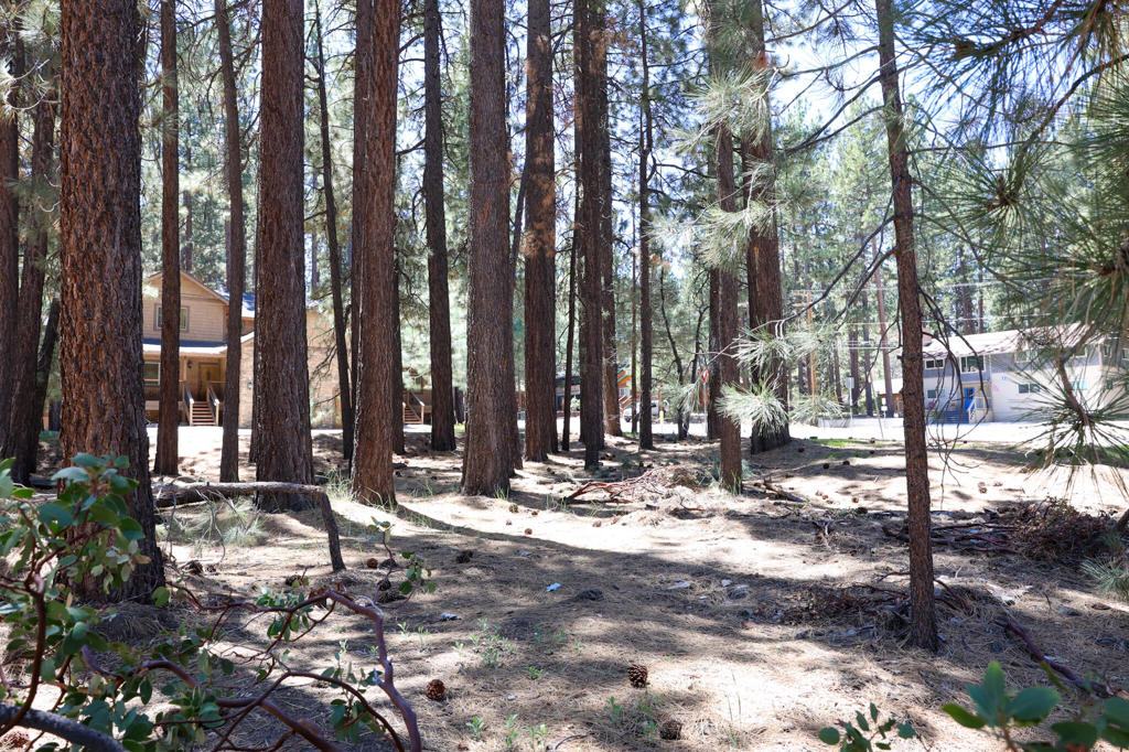 Not Applicable-1 - Land