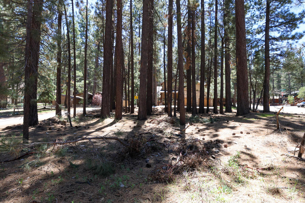 Not Applicable-1 - Land