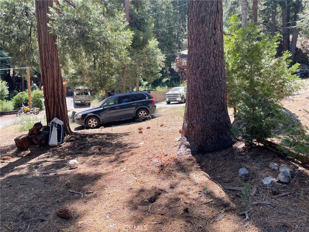 0 Cedar