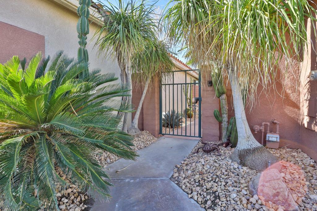 Oasis Country Club - Residential