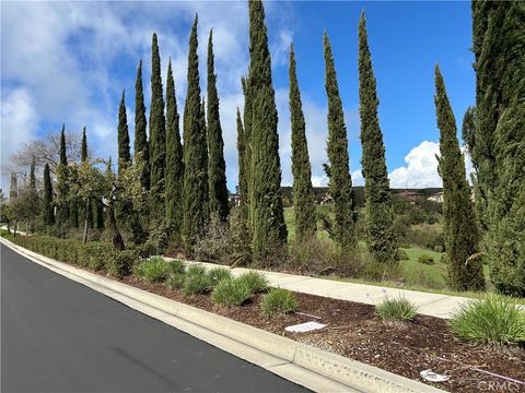 16567 Vellano Club Dr Chino Hills CA 91709