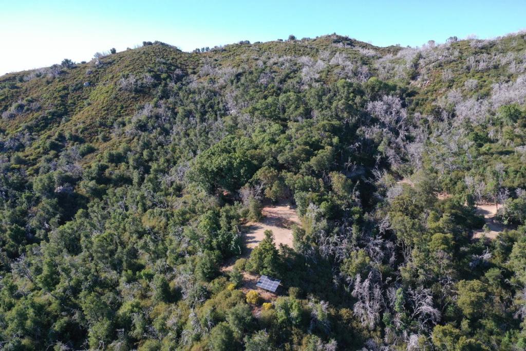 38875 Palo Colorado Road