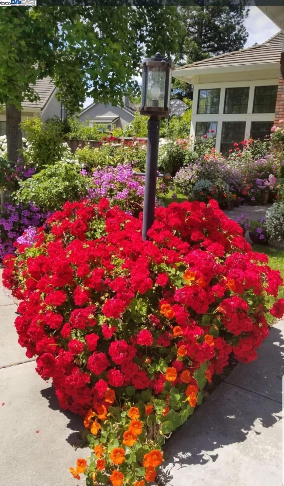 PLEASANTON - Residential