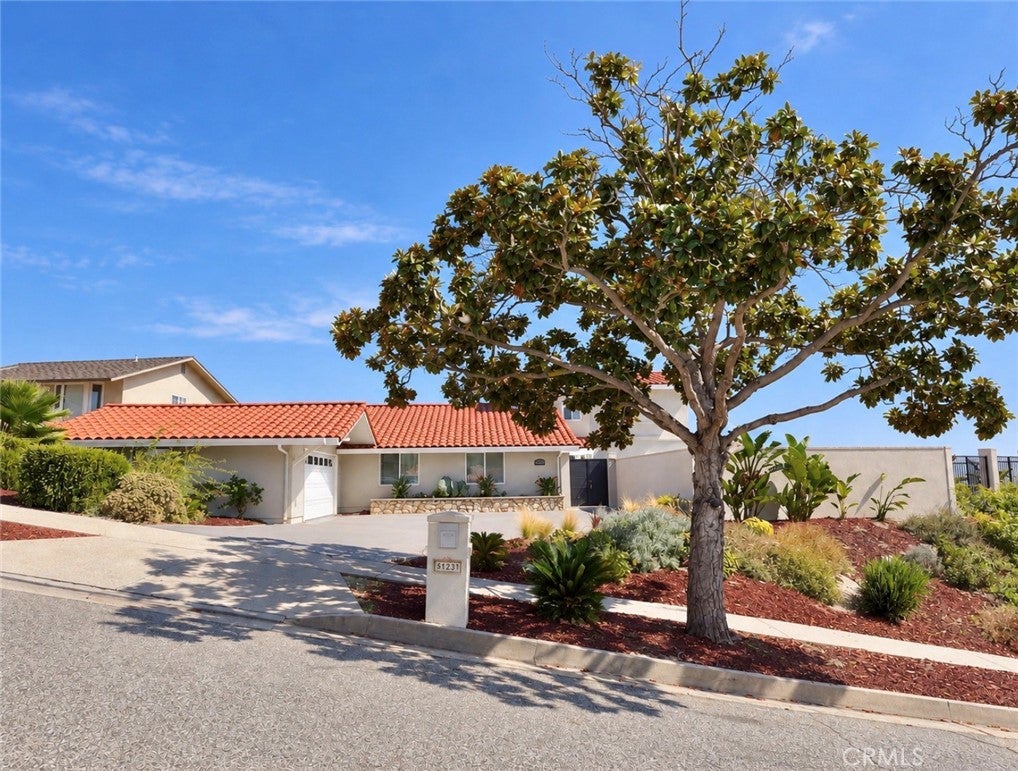 5123 Willow Wood