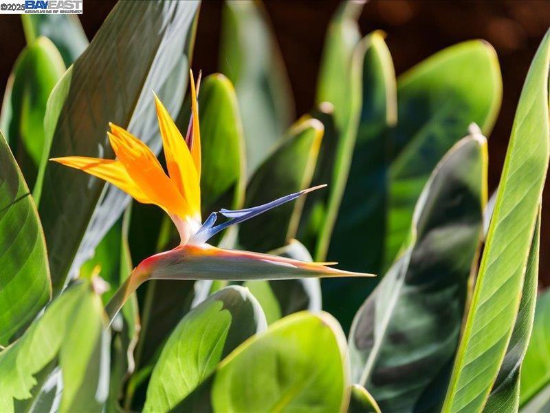 BRITTANY HILLS - Residential