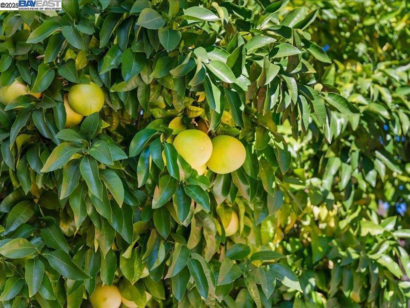 BRITTANY HILLS - Residential