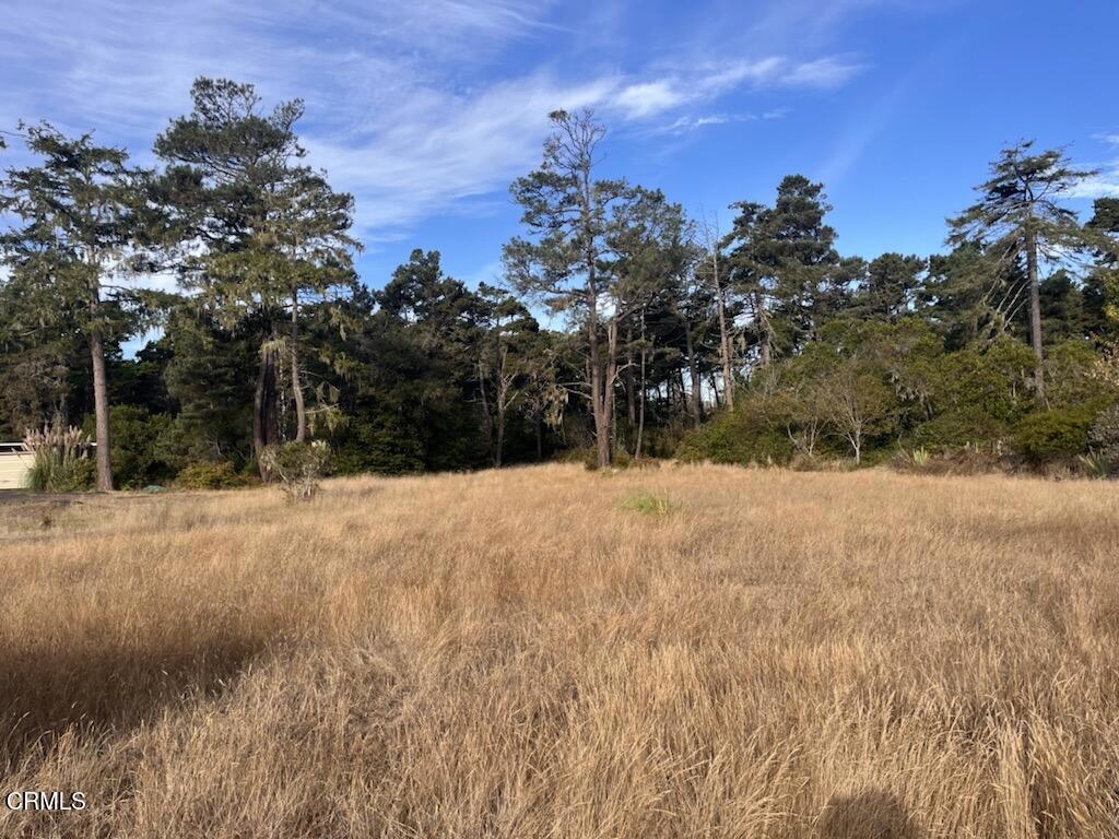 Level 1+/- acre property in a desirable neighborhood just down the road from the Pacific Ocean, MacKerricher State Park and 8 miles of beach! The property has been in the same family since the 80's. Located in a costal exclusion zone, for a smoother permitting process. Come and build your dream home in a sunny coastal community!