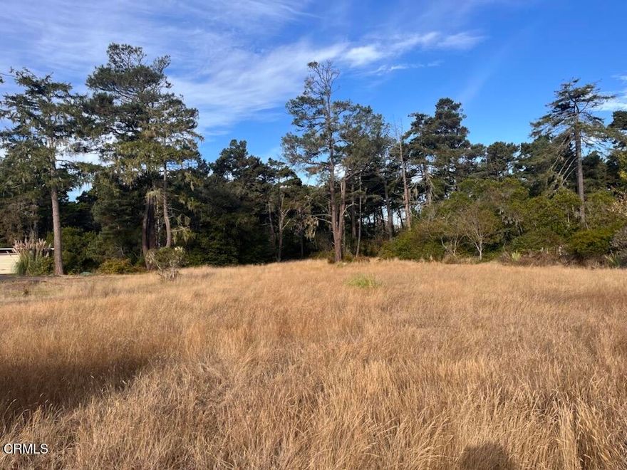 Level 1+/- acre property in a desirable neighborhood just down the road from the Pacific Ocean, MacKerricher State Park and 8 miles of beach!  The property has been in the same family since the 80's.  Located in a costal exclusion zone, for a smoother permitting process.  Come and build your dream home in a sunny coastal community!