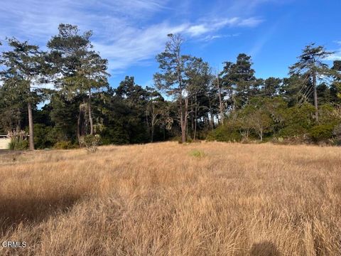 Photo of 24670 Ward Avenue, Fort Bragg, CA 95437 (MLS # C1-11164)