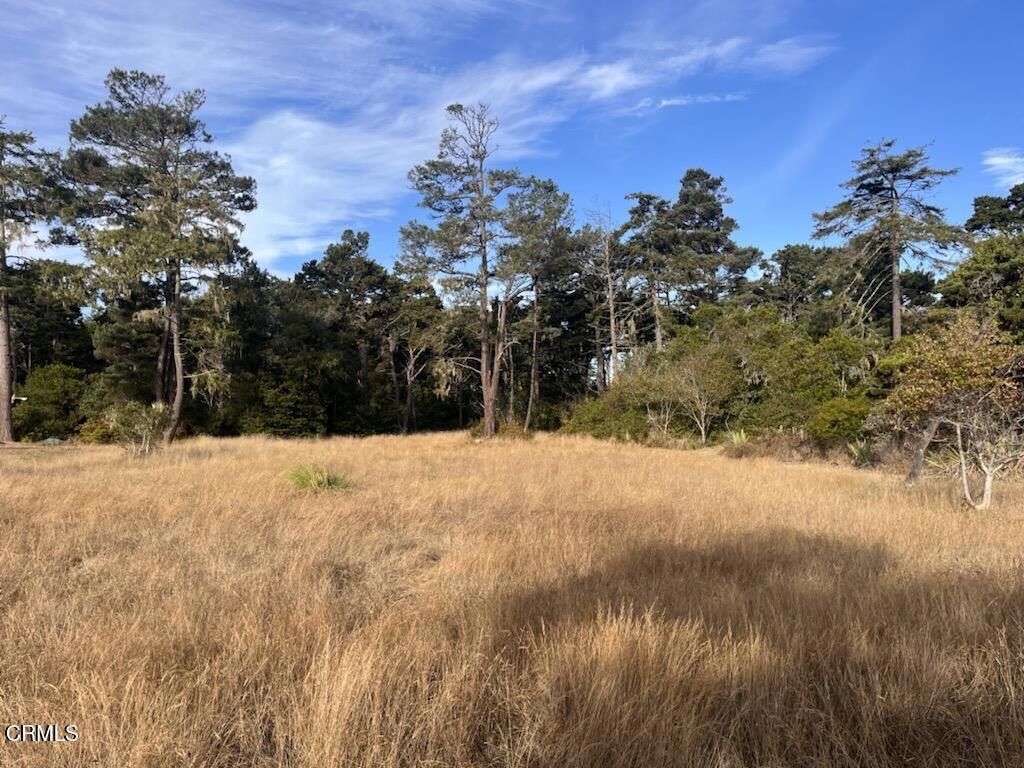 Not Applicable - Land