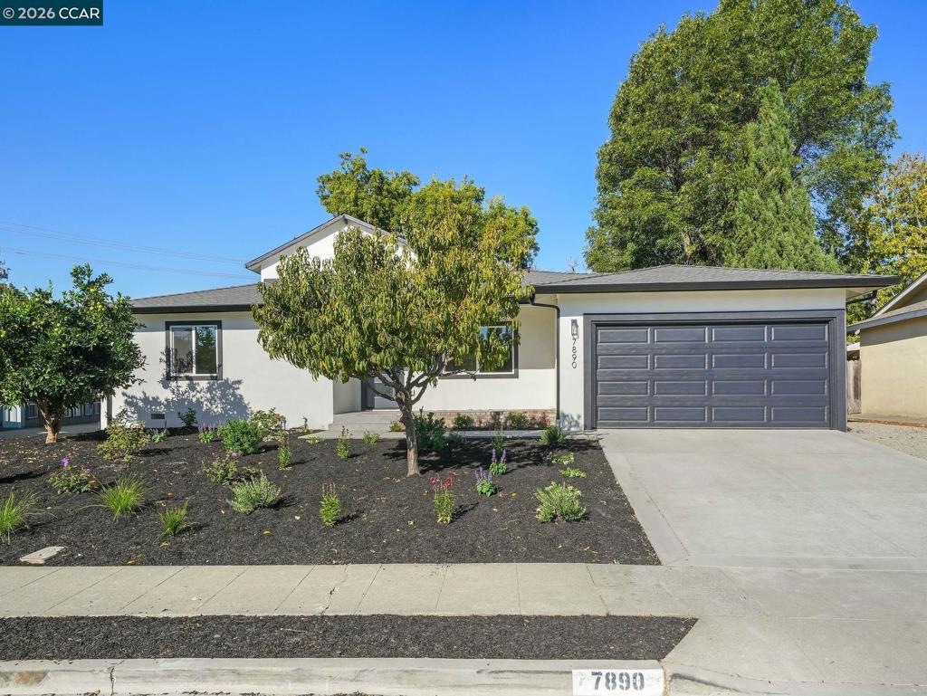 7890 Firebrand Drive