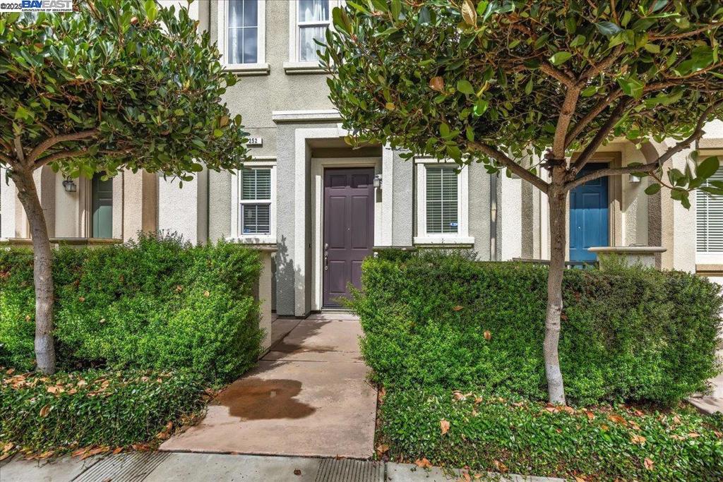 HAYWARD - Residential