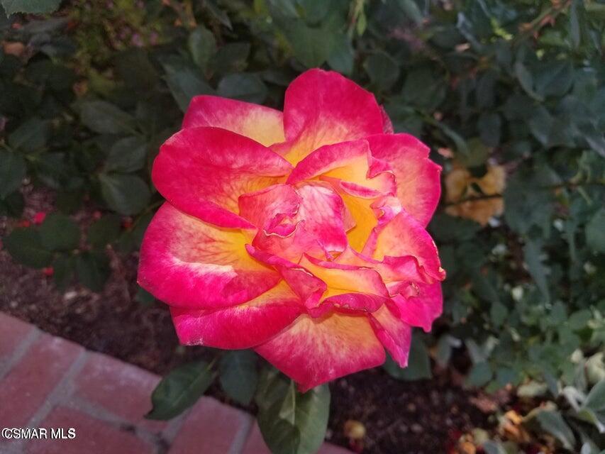 Westlake Hills-729 - 729 - Residential Lease