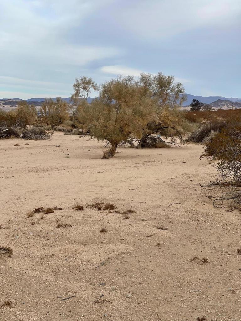 Not Applicable-1 - Land