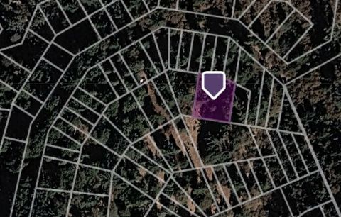 Photo of 0 Mojave View Road, Cedarpines Park, CA 92322 (MLS # PW26057724)