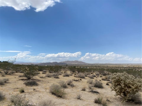 Photo of 123 California Avenue, Joshua Tree, CA 92252 (MLS # JT26192992)