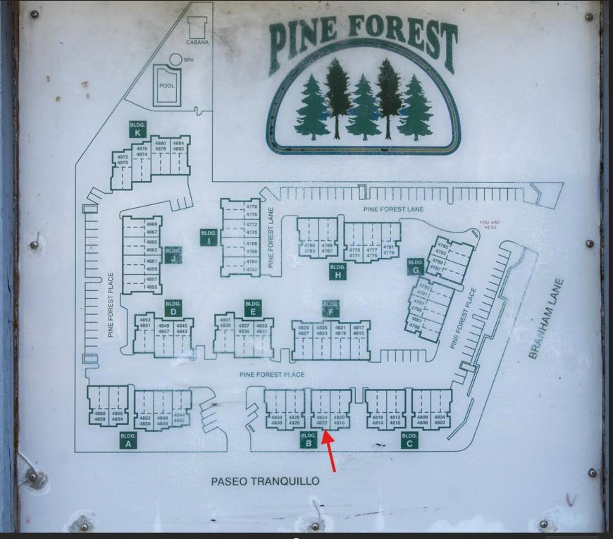 4822 Pine Forest Place