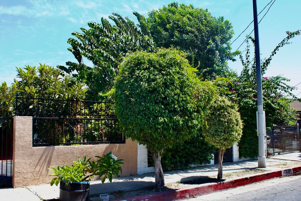 10328 Hickory Street, Los Angeles CA 90002