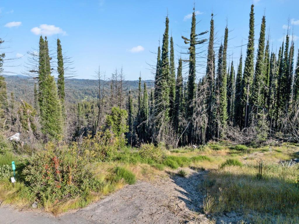 Properties 1 1410 Pinecrest Drive