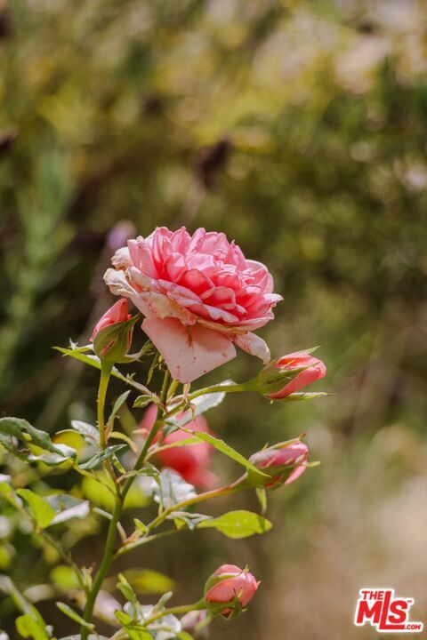 Tiny photo for 520 Barker Pass Road, Santa Barbara, CA 93108 (MLS # 25578105)