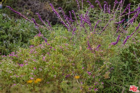 Tiny photo for 520 Barker Pass Road, Santa Barbara, CA 93108 (MLS # 25578105)