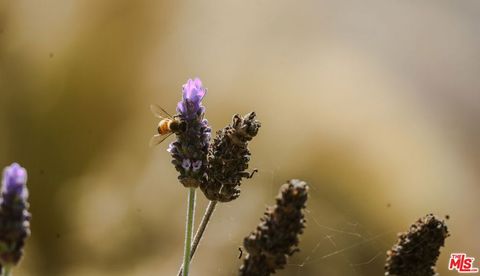 Tiny photo for 520 Barker Pass Road, Santa Barbara, CA 93108 (MLS # 25578105)