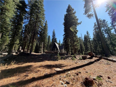 Photo of 0 Philbrook Road #D, Unincorporated, CA 95954 (MLS # OR26202649)