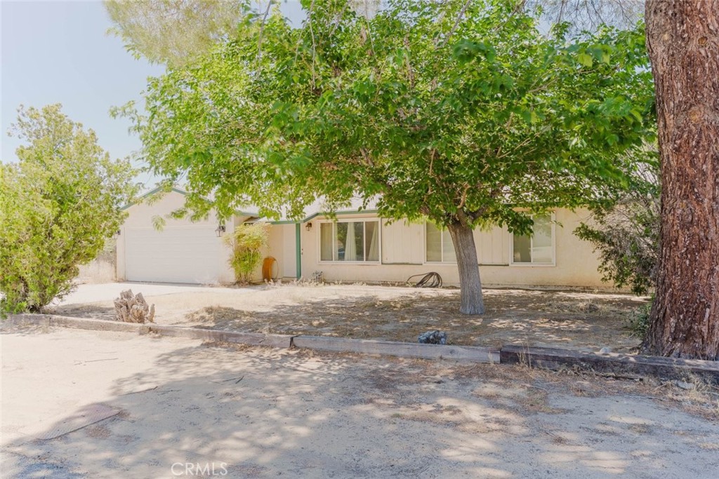 40155 176th Street E