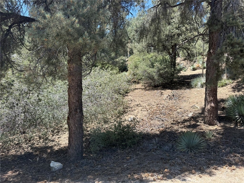2413 Cedarwood Drive