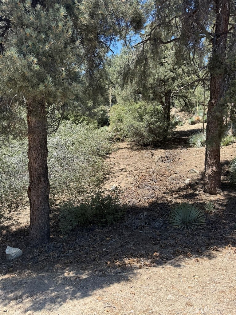 2413 Cedarwood Drive