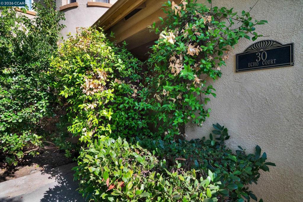 30 Echo Ct