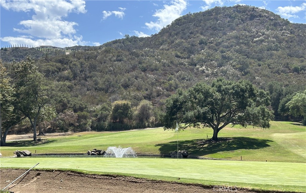 29092 Laurel Valley Drive