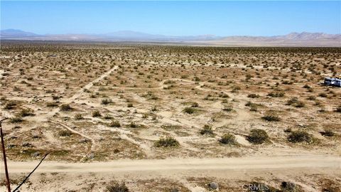Photo of 15 Datura, Johnson Valley, CA 92285 (MLS # JT26083797)