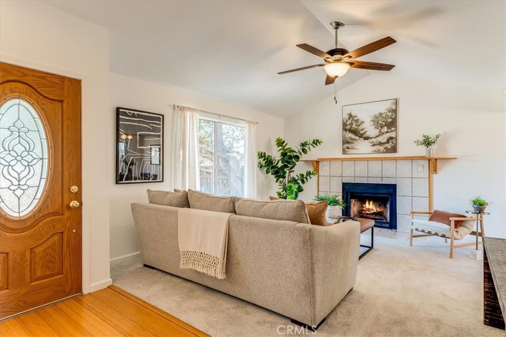 301 Veronica Drive
