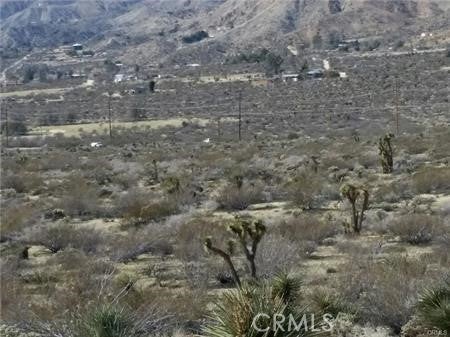 0 29 Palms Highway