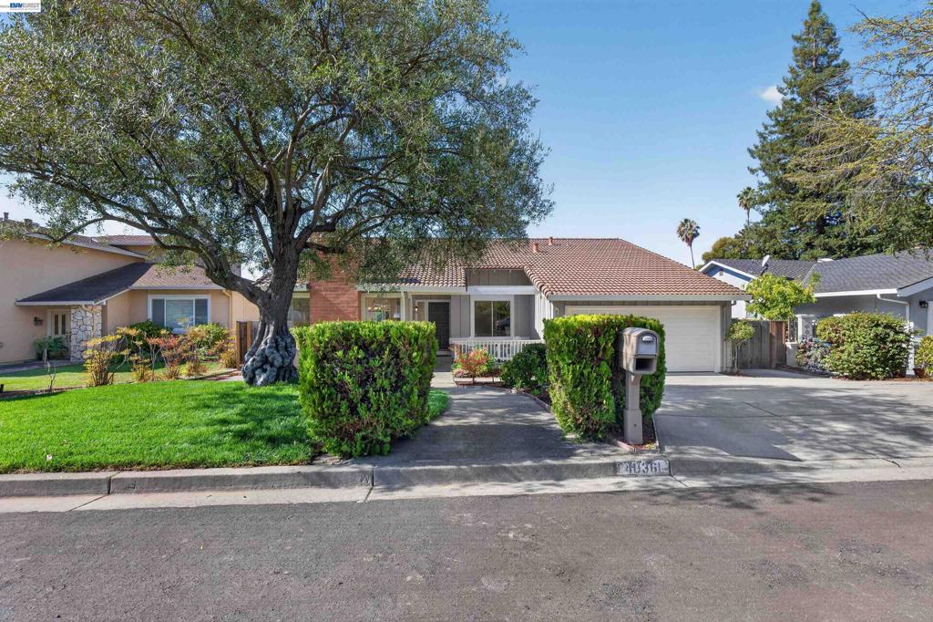 40361 Loro Pl