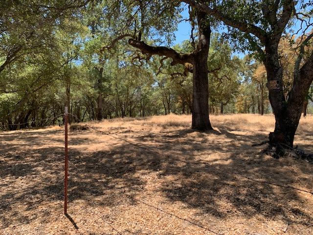 0 BRIDLE TRAIL