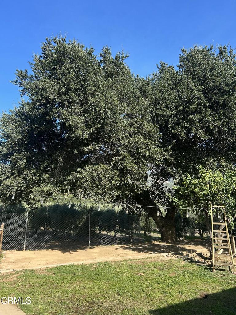 Upper Ojai: Other - 0012 - Residential