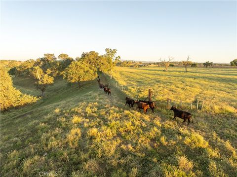 Tiny photo for 5385 Camp 8 Rd, Paso Robles, CA 93446 (MLS # NS26055319)