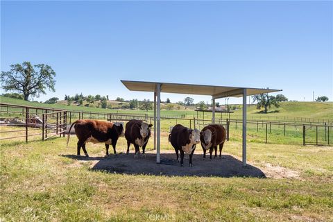 Tiny photo for 5385 Camp 8 Rd, Paso Robles, CA 93446 (MLS # NS26055319)