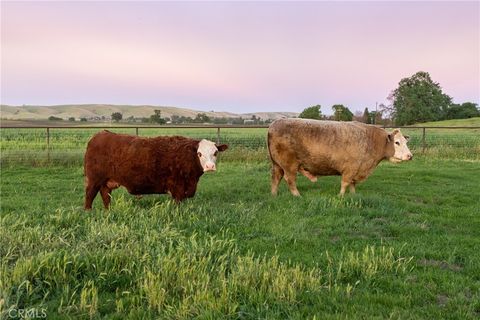 Tiny photo for 5385 Camp 8 Rd, Paso Robles, CA 93446 (MLS # NS26055319)