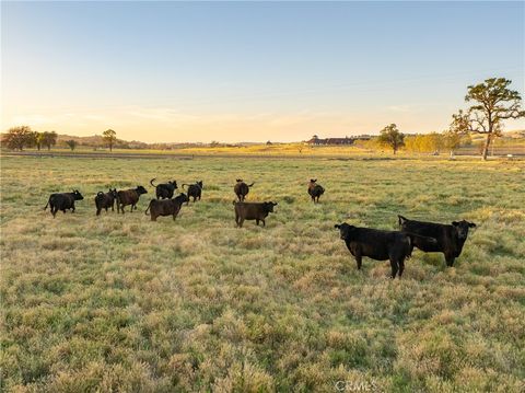 Tiny photo for 5385 Camp 8 Rd, Paso Robles, CA 93446 (MLS # NS26055319)