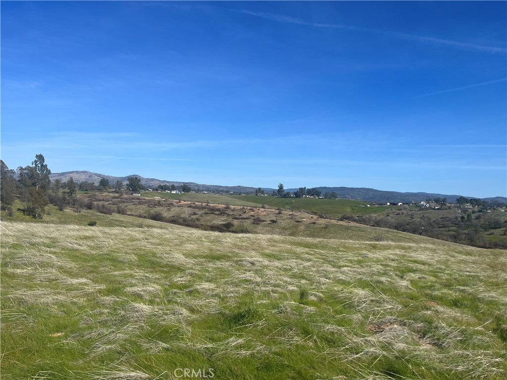 1 Butte Vista Road