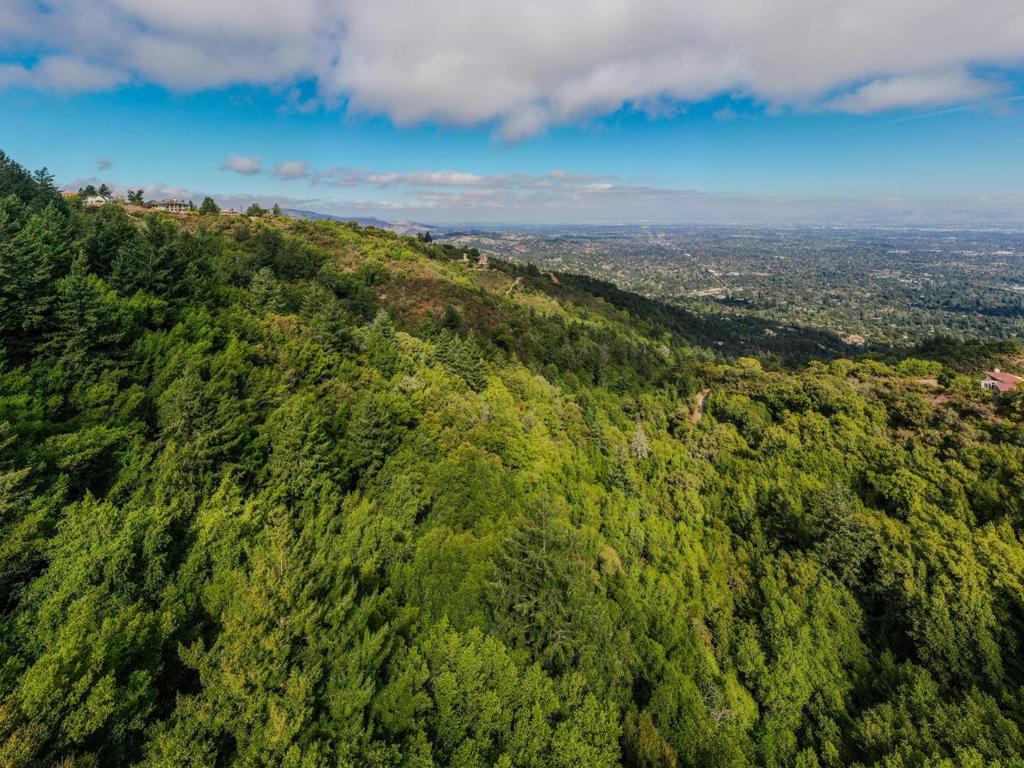 15910 Wildcat Ridge