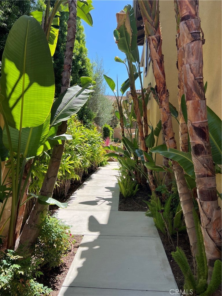 28258 Camino Del Rio